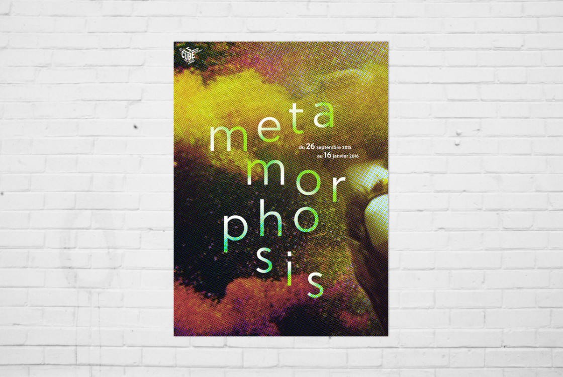 metamorphosis1