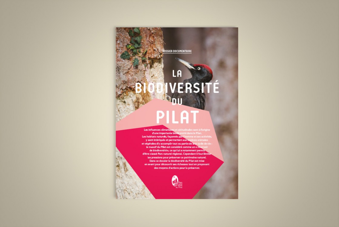 PILAT_dossier_docu_0