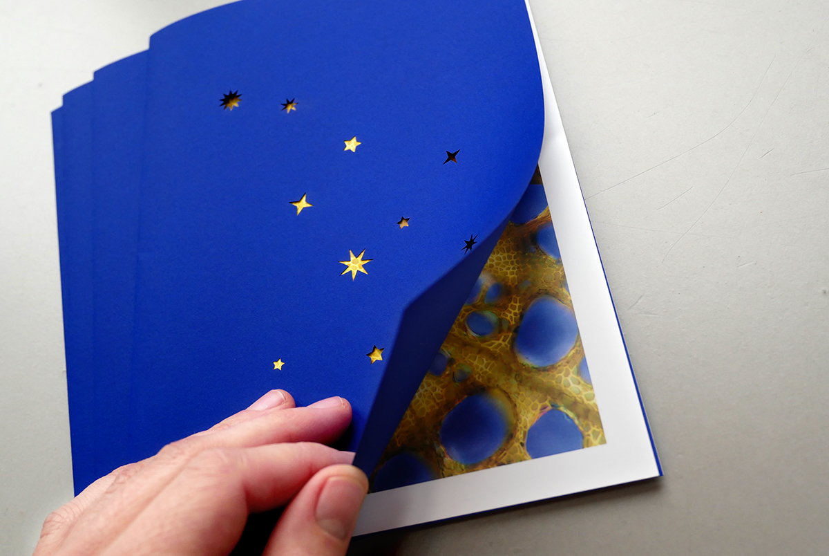 cerba_carte_voeux_2018_03